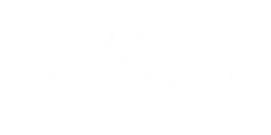 Logo Şişecam